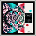 Coronal Loops Vol. 2
