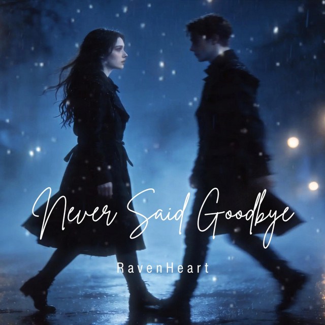 Never Said Goodbye