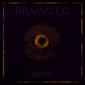 Seer