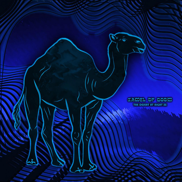 The Desert At Night XX