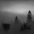 Harhaoppisten Ylipapitar - Void of Melancholy Split