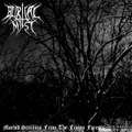 Morbid Screams from the Frozen Forests