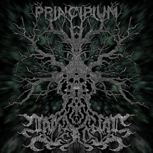 Principium