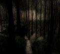 Passage Into The Night
