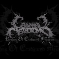 Realms Of Eradicated Memories (2011 DEMO)