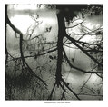 Chronocide / Fifteen Dead Split 12"