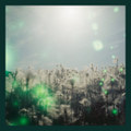 Asphodel Meadows