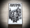 Split With ETERNAL ROT