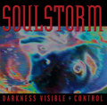 DARKNESS VISIBLE + CONTROL (REMASTERED)