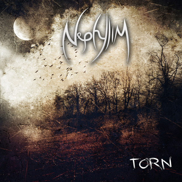 Torn