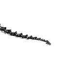 Diplodocus