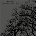 Gray Heavens, Falling Leaves