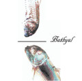 Bathyal 2