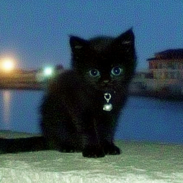 pretty moon