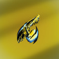 Montornes EP
