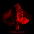 STEEGMOORD