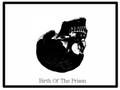 Birth Of The Prison