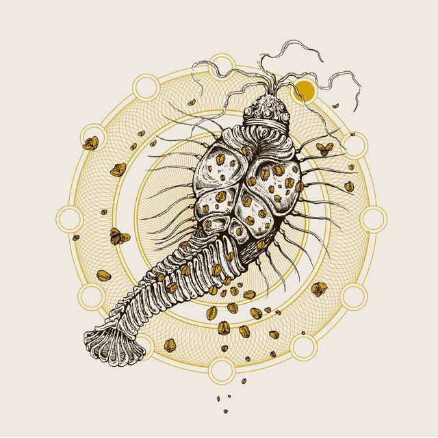 Geisteskrank / Young Bones