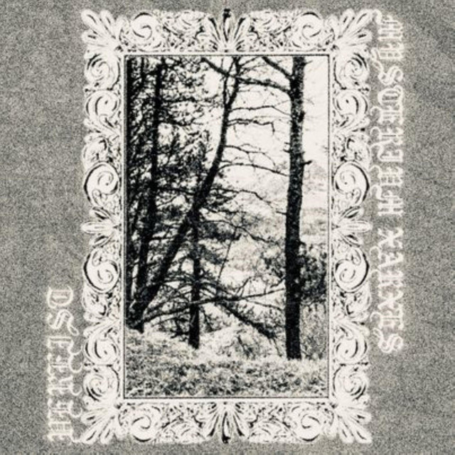 Mysterivm Xarxes / Vereist