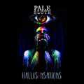 HALLUSENSATIONS