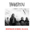 Desperate Echoes/B.I.O.M.