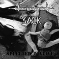 split live cd and mc with Jack - splitted alive