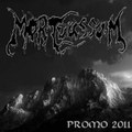 Promo 2011