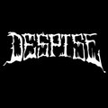 Despise