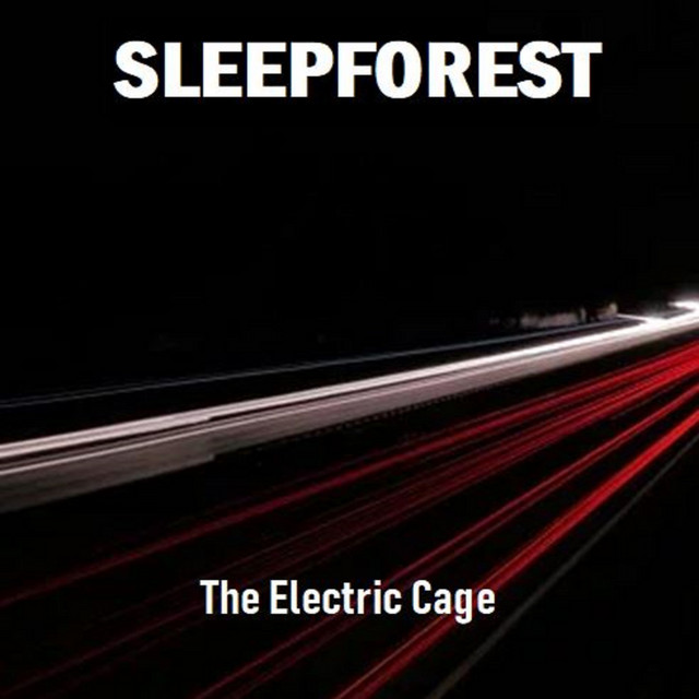 The Electric Cage