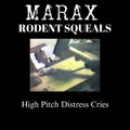 Rodent Squeals: High Pitch Distress Cries