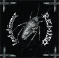 Remiso / Lautstürmer Split LP