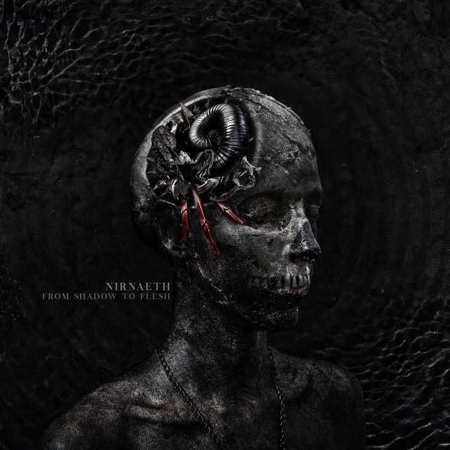 From Shadow To Flesh