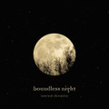 Boundless Night