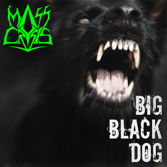 Big Black Dog