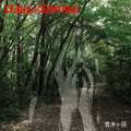 青木ヶ原 (Aokigahara)