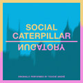 Social Caterpillar - Single