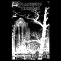 Monotonous Solitude Within Cold Forests