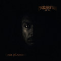 Dark Wanderer