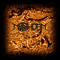 Maggots To Devour The World