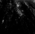Echoes From a Dead Universe (instrumental)