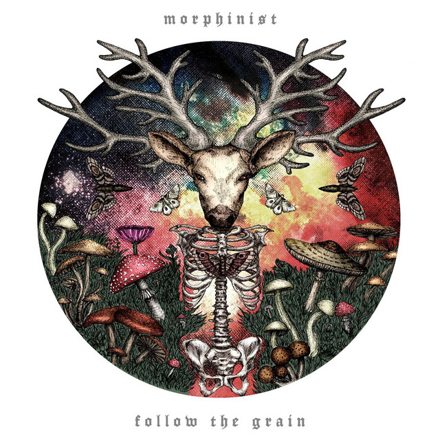 Follow The Grain