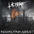 Reborn From Ashes