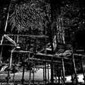 anomia