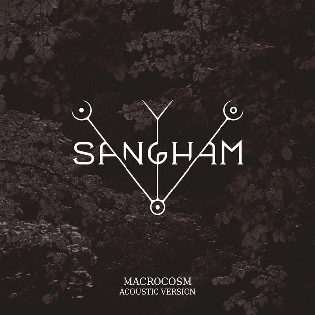 Macrocosm (Acoustic Version)