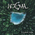A Clear View