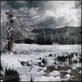 Eiskrieg II (2011)