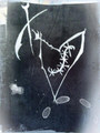 Memento Mori