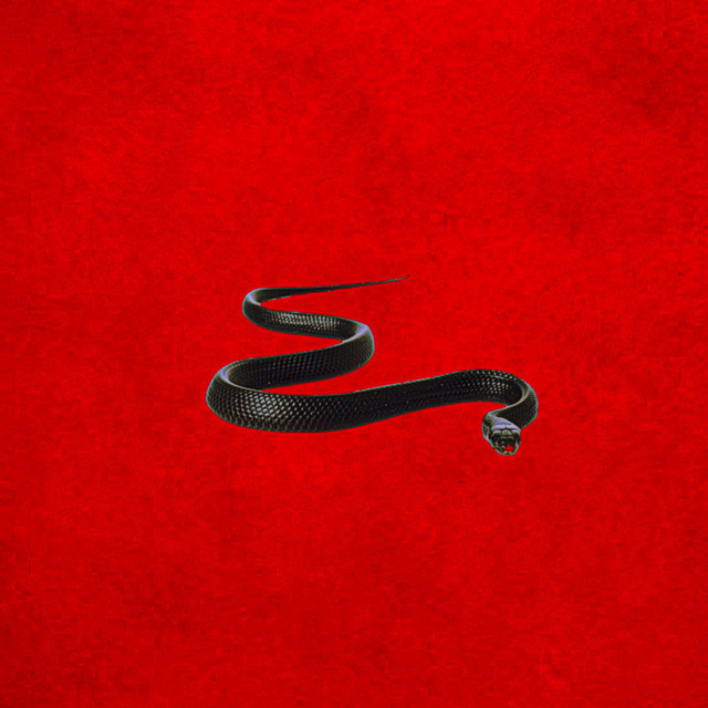 Snake Charmer