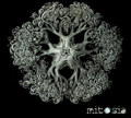 mitosia-meiosia