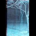 Untitled (DEMO)